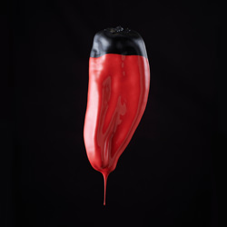 Red Pepper-Curtis Gallon-silver-still_life-8235