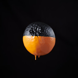 Orange Orange.-Curtis Gallon-finalist-still_life-8133