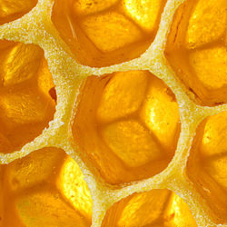 Honeycomb-Jonathan Knowles-finalist-still_life-8034