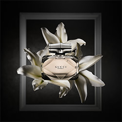 Perfume Gucci Bamboo-Nader Alrefaei-bronze-still_life-10649