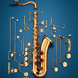 Saxofón en partes-Lukasz Mazurkiewicz-silver-still_life-10906
