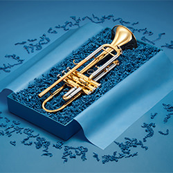 Trumpet-Lukasz Mazurkiewicz-gold-still_life-10854