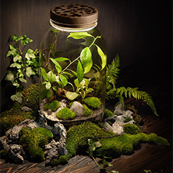 Bottle garden-Lukasz Mazurkiewicz-bronze-still_life-10641