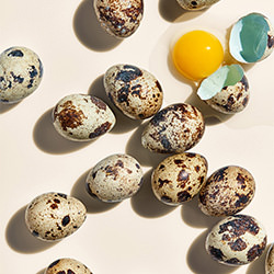 Quail Eggs-Powell Jordano-finalist-still_life-10814