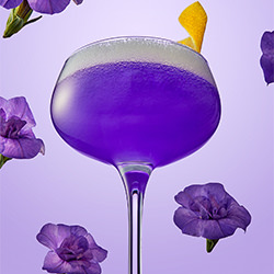 Cocktail de pluie violette-Paul Lovas-bronze-still_life-10577