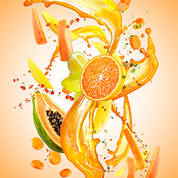 Splash Orange-Andrea Sudati-silver-still_life-10890