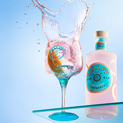 Supreme gin tonic splash-Valerio Loi Photography-bronze-still_life-14097