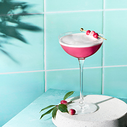 Lilly-Pilly Clover Club-Sally Hulse-finalist-still_life-14194