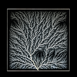 Cancer Treatment Proton Beam-Liz Mcburney-silver-still_life-14230