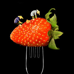 Strawberry Farmers-Leka Huie-silver-still_life-16928
