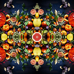 Citrus Gyroscope-Kris Kirkham-bronze-still_life-16751