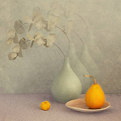 The silence of things-Ausra Peciuriene-finalist-still_life-16875
