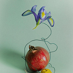 Still life with pomegranate-Ausra Peciuriene-finalist-still_life-16876