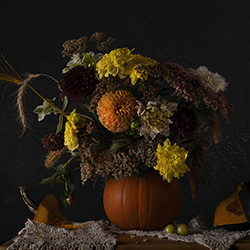 Pumpkins-Elina Browerman-silver-still_life-16977