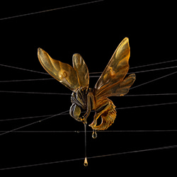 Honey Bee-Andrew Kitsen-silver-still_life-16979