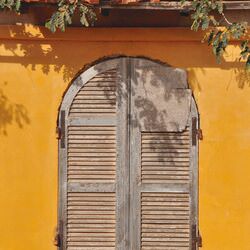 Marigold Wall in Goree-Karen Safer-finalist-street-9003