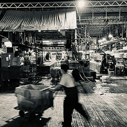 Or, Wake I Never-Savva Locci-finalist-street-14830