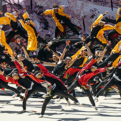 Momentum Of The Many-Mel Yukiina-bronze-street-17384