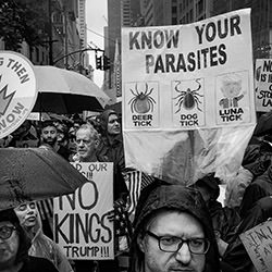 Know Your Parasites-Jeff Harris-bronze-street-17334