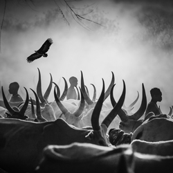 The shadows of Mundari,South Sudan-Svetlin Yosifov-bronze-travel-9052