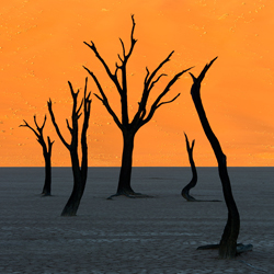 Deadvlei Sunrise-Stephen King-bronze-travel-9055