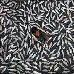 Giovane pescatore-Azim Khan Ronnie-bronzo-viaggio-12591