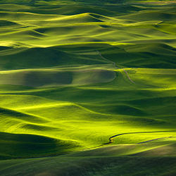 Green Waves-Thierry Bornier-silver-travel-12766