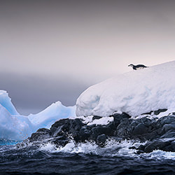 Antartida-Santiago Olivera-finalist-travel-12668