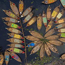 Boats of flower-Azim Khan Ronnie-bronze-travel-12615