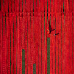 Terre de tissu rouge-Azim Khan Ronnie-bronze-voyage-12621