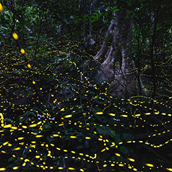 The Luminous Dance-Hidekazu Nagai-silver-travel-17541