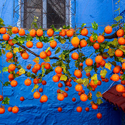Tangerine Dream-Dorota Qaid-finalist-travel-17507