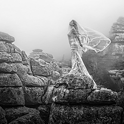 Feel the light-Jose Luis Guardia Vazquez-silver-wedding-294