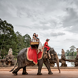 The bridal elephant-Jose Luis Guardia Vazquez-finalist-wedding-131