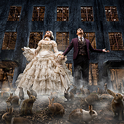 All Rise-Raymond Phang-silver-wedding-299