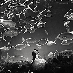 Fishing love underwater-Vinny Labella-silver-wedding-303