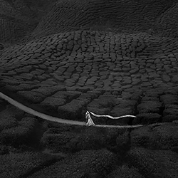 Journey-Sam Lim-silver-wedding-306