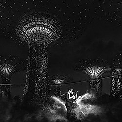 The Jungle City-Sam Lim-finalist-wedding-154