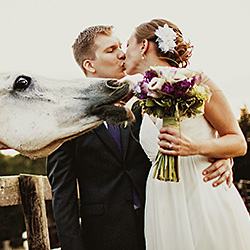 Hungry Horse-Ken Pak-silver-wedding-319