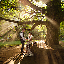 Sundown-Tim Simpson-finalist-wedding-203