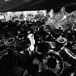 Black and White-Ariel Ravinsky-finalist-wedding-208