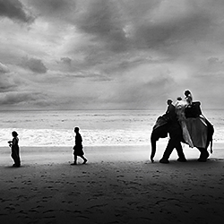 Elephants on wedding in Thailand-Aht Yomyai-finalist-wedding-231