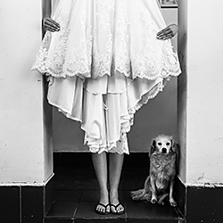 Wedding day-Viviana Calaon Moscova-finalist-wedding-244