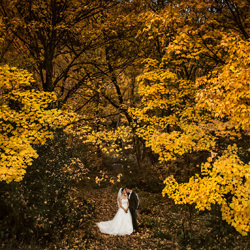 Autumn leaves-Xing Shi-bronze-wedding-1797