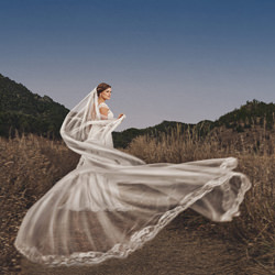 Colorado Breeze-Sal Cincotta-finalist-wedding-3197