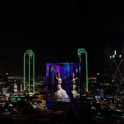 Dallas Night Skyline-Darien Chui-bronze-wedding-4728