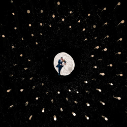Wood looks like the stars-Gabriel Scharis-silver-wedding-5005