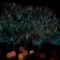 The couple and the moon-Gabriel Scharis-silver-wedding-5006
