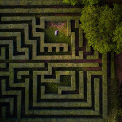 They\'ve cleared the maze-Gabriel Scharis-silver-wedding-5009
