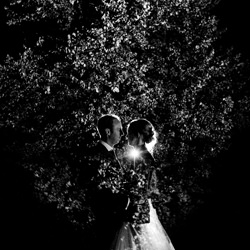 Forest Entanglement-Edward Hollander-finalist-wedding-4848